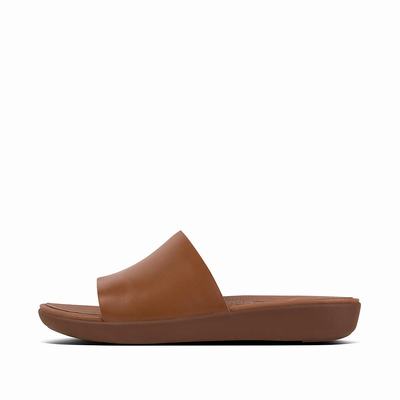 Fitflop SOLA Leather Slides Sandalen Dames Bruin | HZI654382